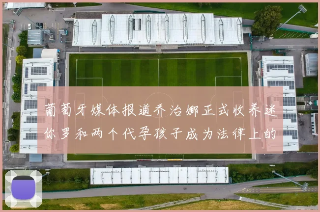 葡萄牙媒体报道乔治娜正式收养迷你罗和两个代孕孩子成为法律上的母亲