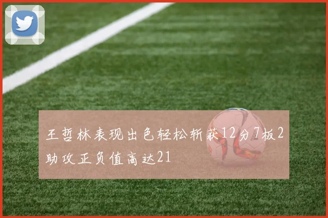 王哲林表现出色轻松斩获12分7板2助攻正负值高达21