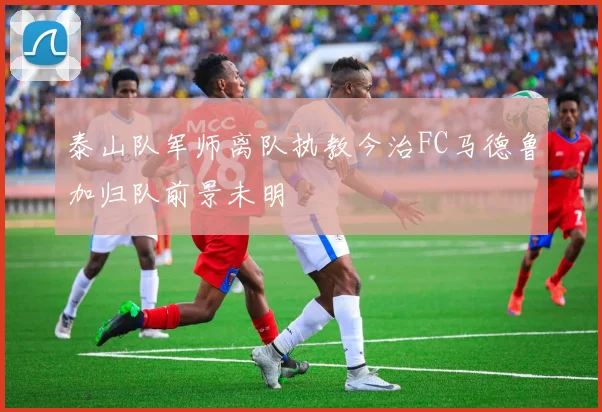泰山队军师离队执教今治FC马德鲁加归队前景未明